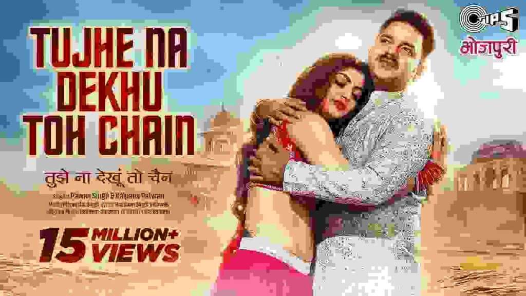 Bhojpuri Tujhe Na Dekhu Toh Chain Song Lyrics In Hindi